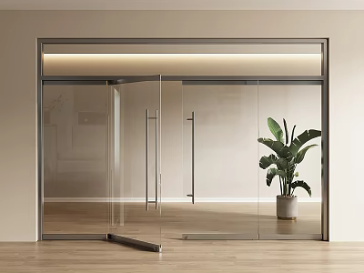 Modern Glass Double Doors Interior Design With Potted Plant And Wooden Floor 3d model