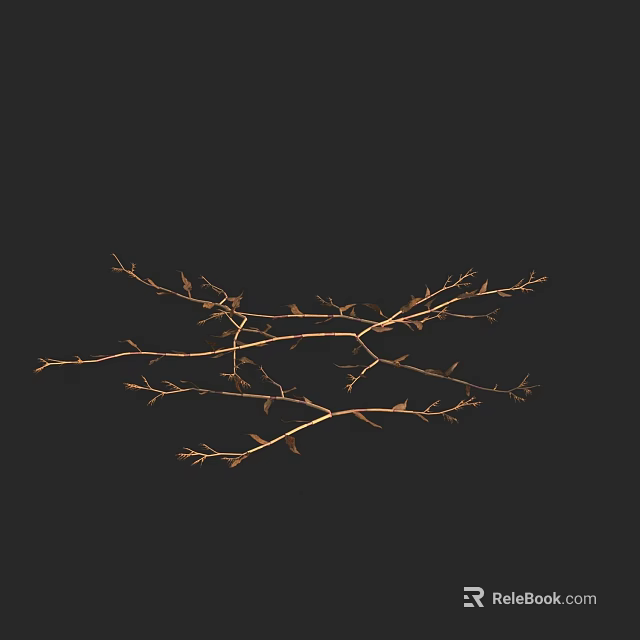 Dried Plant Branches With Small Twigs And Few Dry Leaves On Black Background 3d model 