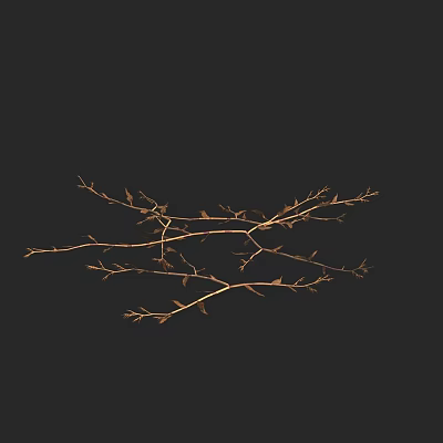 Dried Plant Branches With Small Twigs And Few Dry Leaves On Black Background 3d model