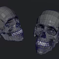 Game Movie Character Skeleton Skull 3D Models With Realistic Bone Features 3d model
