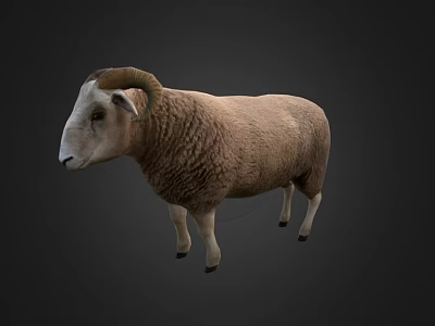 Realistic Game Movie Character Sheep With Curved Horns And Brown Wool 3d model