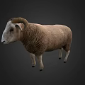 Realistic Game Movie Character Sheep With Curved Horns And Brown Wool
