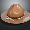 Brown Wide Brim Hat With White Rope Band For Casual Outdoor Daily Use
