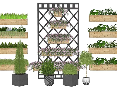 Potted Plants Arrangement With Lattice Shelf And Wooden Shelves For Indoor Greenery 3d model