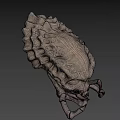 Detailed 3D Monster Skull Model With Sharp Fangs And Bone Texture