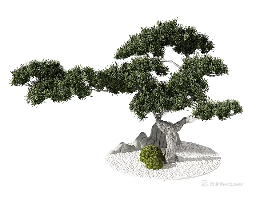 Lush Green Bonsai Tree With Curved Trunk Rocks Small Shrub And White Pebbles 3d model 