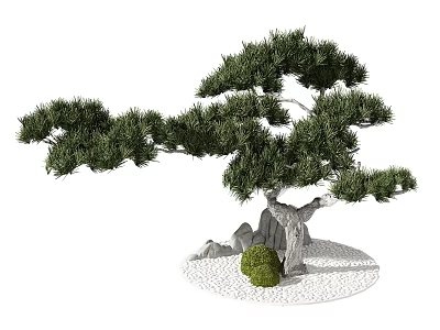 Lush Green Bonsai Tree With Curved Trunk Rocks Small Shrub And White Pebbles 3d model