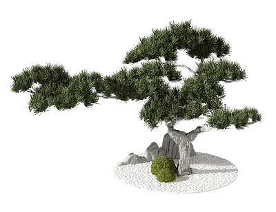 Lush Green Bonsai Tree With Curved Trunk Rocks Small Shrub And White Pebbles 3d model