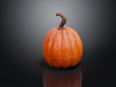 Orange Round Pumpkin Vegetable with Brown Stem on Black Background and Shiny Reflection 3d model