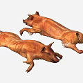 Whole Roasted Pig With Golden Brown Crispy Skin And Juicy Tender Meat