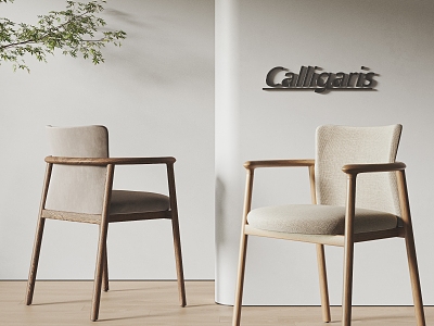 calligaris Nordic Single Chair Dining Chair Single Chair Leisure Chair with Armrests 3d model