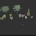 Coniferous Broadleaf And Flowering Trees With Diverse Shapes Foliage And Sizes For Landscape Design