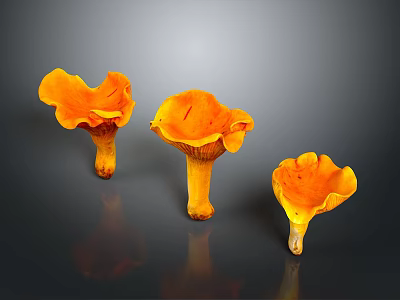 Fresh Vibrant Orange Edible Mushrooms With Gilled Caps On Dark Background 3d model