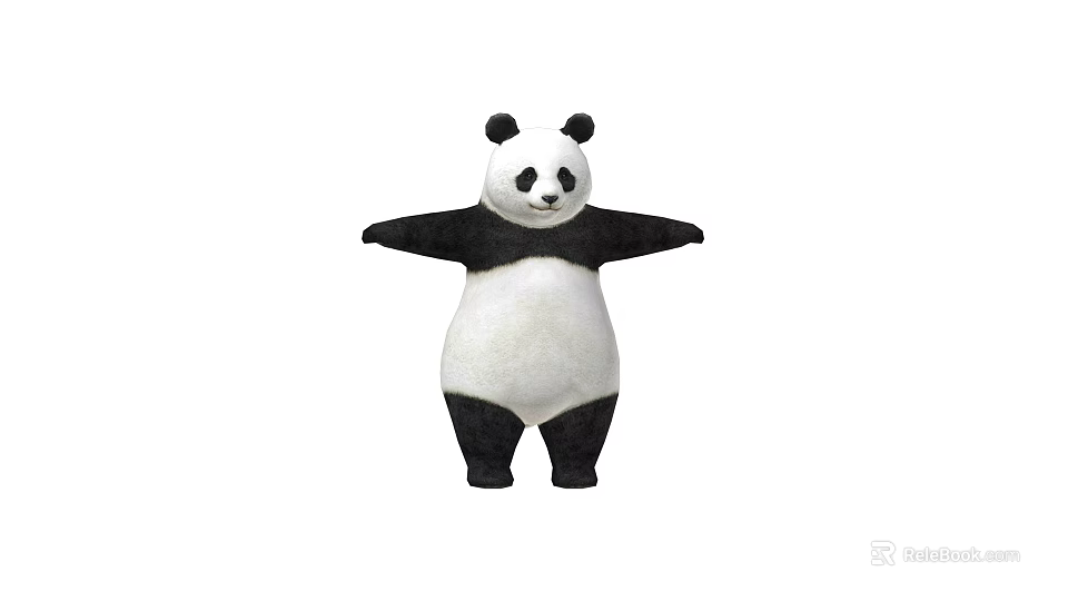 Adorable Black and White Panda Standing with Arms Outstretched in White Background 3d model 