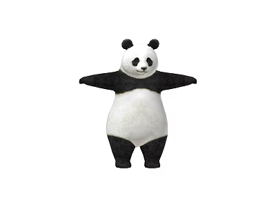 Adorable Black and White Panda Standing with Arms Outstretched in White Background 3d model
