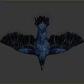Stunning Deep Blue Crow Standing with Spread Wings in Minimal Gray Background