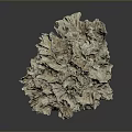 Natural Stone Wood Formation with Intricate Texture and Cream Light Brown Color