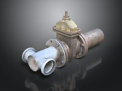 Durable Industrial Metal Valve With Brass Top And Multiple Pipe Connections For Machinery 3d model