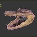 Crocodile Alligator Nile Crocodile carnivore reptile cold-blooded animal reptile 3d model