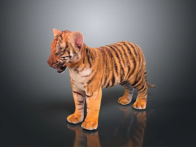 Young Reptile With Orange And Black Stripes Standing On Black Reflective Surface 3d model