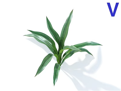 Green Plant with Long Veined Leaves on White Background and Blue V in Top Corner 3d model