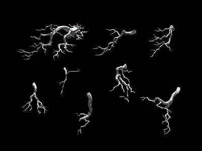 Multiple White Plant Branches On Black Background With Delicate Twig Structures 3d model
