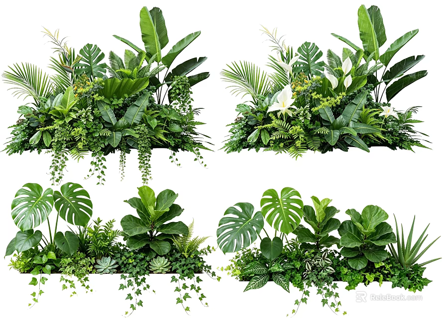 Lush Indoor Plant Combinations With Tropical Leaves Ferns And Hanging Vines 3d model 