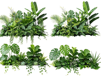 Lush Indoor Plant Combinations With Tropical Leaves Ferns And Hanging Vines 3d model
