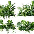 Lush Indoor Plant Combinations With Tropical Leaves Ferns And Hanging Vines