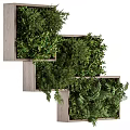 Wall Mounted Decorative Ornament Combination With Wooden Frames And Lush Green Plants