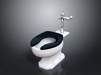 Modern White Toilet With Black Seat And Silver Flushing Mechanism Design 3d model