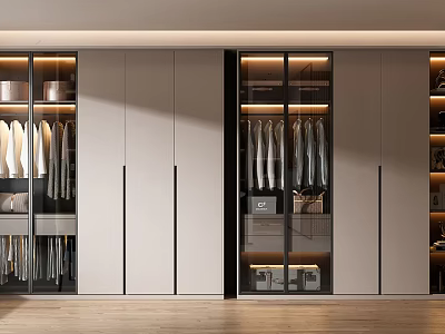 Modern Wardrobe Interior With Glass Doors Hanging Clothes And LED Lighting Storage 3d model