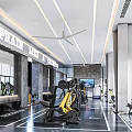 Spacious Fitness Gym Featuring Train Hard Sign Workout Equipment And Training Machines