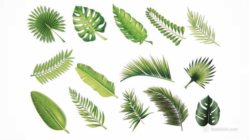 Tropical Green Leaf Silhouettes Collection With Various Plant Shapes And Foliage Types 3d model 