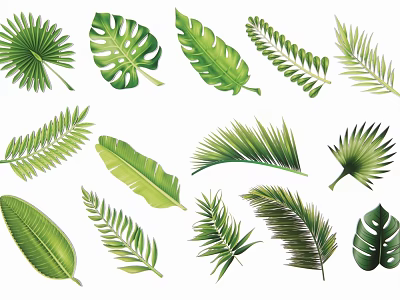 Tropical Green Leaf Silhouettes Collection With Various Plant Shapes And Foliage Types 3d model