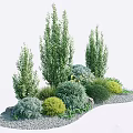 Garden Plant Combination With Tall Shrubs Low Herbs Decorative Rocks And Gravel Ground
