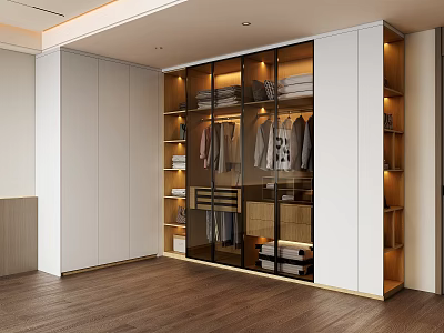 Modern Wardrobe Interior Design With Glass Doors And Built In Lighting For Home Storage 3d model