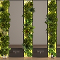 Plant Wall Plant Wall 3d model