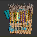 Medical Device Biological Membrane Structure With Double Layer Colorful Stripes And Blue Components