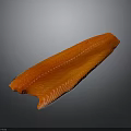 Fresh Raw Salmon Fillet with Vibrant Red Color and Distinct Texture on Gray Gradient Background