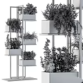 Bonsai Potted Plants On Multi Tiered Metal Frame Wooden Shelves With Various Greenery