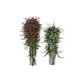 Lush Vines With Pink And Green Flowers Growing On Decorative Pillars
