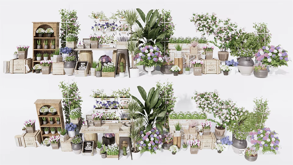 Decorative Bonsai and Potted Plants Display on Wooden Shelves with Various Containers 3d model 