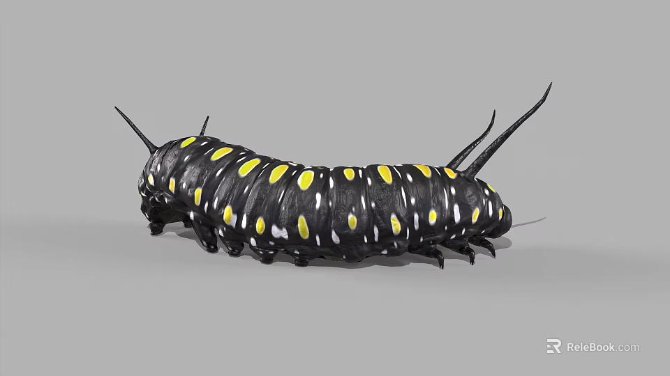Vibrant Reptile With Black Body And Yellow Spots Long Antennae On Gray Surface 3d model 