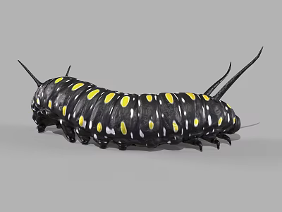 Vibrant Reptile With Black Body And Yellow Spots Long Antennae On Gray Surface 3d model