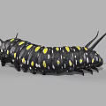 Vibrant Reptile With Black Body And Yellow Spots Long Antennae On Gray Surface
