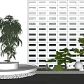 Indoor Plant Combination With Large Palm Small Bonsai Round Pedestal Grille Wall And Pebble Decoration