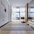 Bright Modern Fitness Studio With Yoga Pose Painting And Pilates Equipment And Large Mirrors