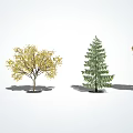 modern tree landscape tree arbor 3d model