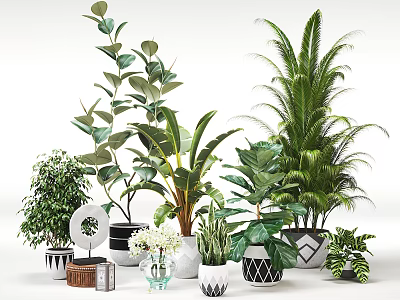 Various Bonsai Potted Plants With Decorative Pots For Indoor Home Decoration 3d model
